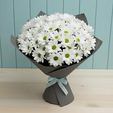 Букет цветов из:  Хризантемы #REPLACE_PRED# Новодеревянковской