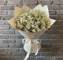 Букет цветов из:  Ромашки #REPLACE_PRED# Новодеревянковской