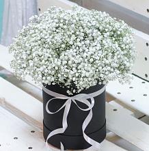 Цветочная композиция из Гипсофила в шляпной коробке #REPLACE_PRED# Новодеревянковской