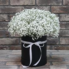 Цветочная композиция из Гипсофила в шляпной коробке в Новодеревянковской