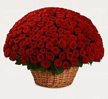 Премиум букет из: Розы в Новодеревянковской