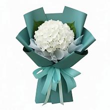 Букет цветов из:  Гортензия в Новодеревянковской